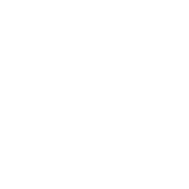 51%